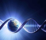 SỰ KIỆN TOÀN CẦU - THĂNG LÊN TẬP THỂ - KÍCH HOẠT DNA - CHUYỂN ĐỔI CƠ THỂ ÁNH SÁNG