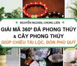 Sách Phong thủy Nguyễn Ngoan Tặng Miễn Phí có gì đặc biệt?